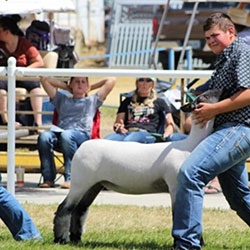 AlbanyCountyFair_01 Image of participants in Albany County Fair, Laramie, Wyoming