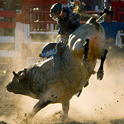 CFD Image of bull rider on bull during Cheyenne Frontier Days