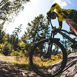 CurtGowdyStatePark Person on Mountain Bike riding on tree-lined trail