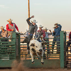 JubileeDays_01 Image of rider on bull at Laramie Jubilee Days rodeo